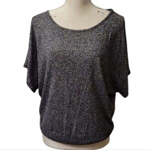 The Limited Gray Shortsleeve Sweater